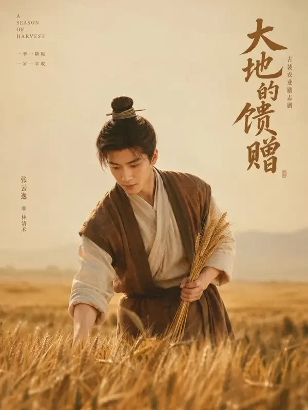 短剧网《我在古代种麦田》封面